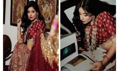 Punjabi actress Tania stole the party in bridal wear, shared pictures