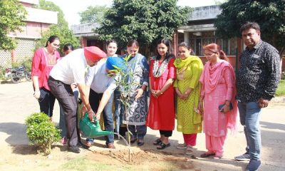 PAU World Environment Day was celebrated in the hostels of