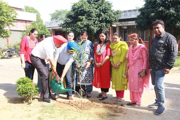 PAU World Environment Day was celebrated in the hostels of