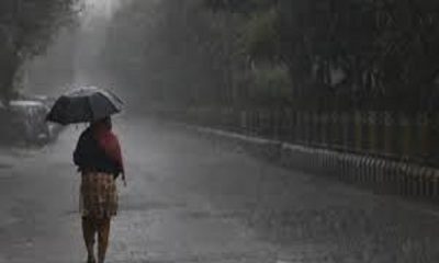 Weather changed in Punjab, heavy rain started in many districts including Ludhiana