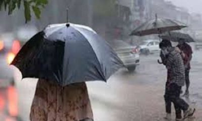 The big news brought by Monsoon in Punjab, know the weather update in the coming days