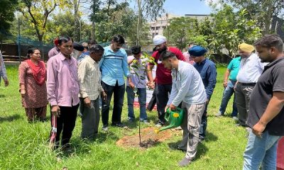 World Environment Day was celebrated at Research and Development Centre