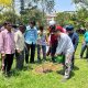 World Environment Day was celebrated at Research and Development Centre