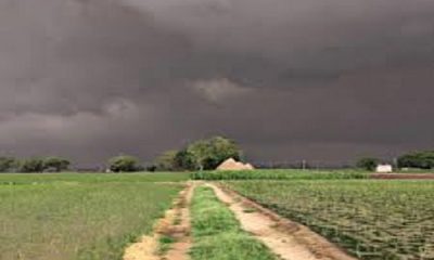 PAU advises farmers to plant crops keeping in mind the weather, there is a possibility of rain today and Thursday