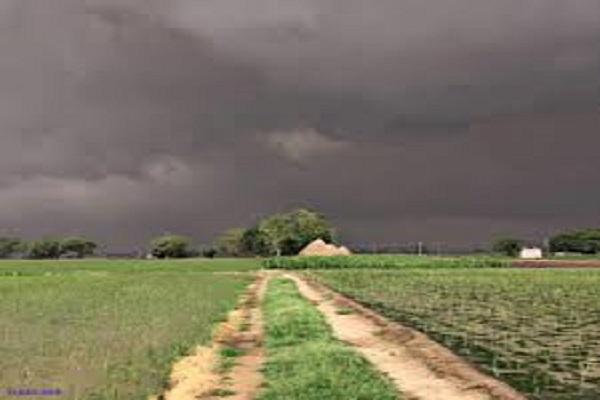 PAU advises farmers to plant crops keeping in mind the weather, there is a possibility of rain today and Thursday