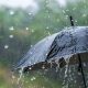 The latest news brought about 'weather' in Punjab, there will be heavy rain in the coming days