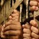 The Punjab government will reduce the increasing crowd of prisoners in the jails