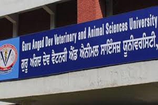 GADVASU will be known by its full name as Guru Angad Dev Veterinary and Animal Sciences University