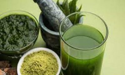 Forget the bitterness and drink neem juice, you will get amazing benefits