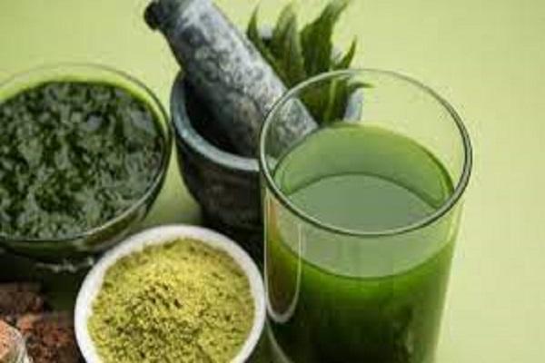 Forget the bitterness and drink neem juice, you will get amazing benefits