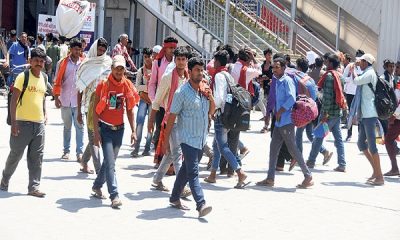 The arrival of migrant workers for paddy cultivation has started