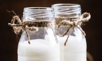 Goat milk is more beneficial than cow's milk, know its 6 benefits