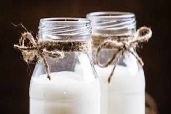 Goat milk is more beneficial than cow's milk, know its 6 benefits