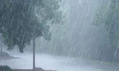 It will rain in Punjab for five more days, read the latest update issued by the Meteorological Department