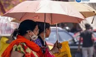 Monsoon has slowed down in Punjab: Chance of rain is less for the next 2 days, temperature will increase