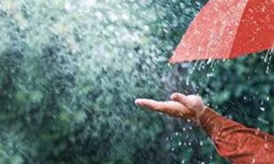 Heavy rain in Ferozepur and Ludhiana, the weather will be clear from this day