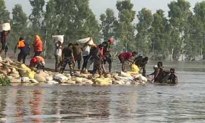 Order issued to the Food Supply Department to purchase 20000 plastic bags