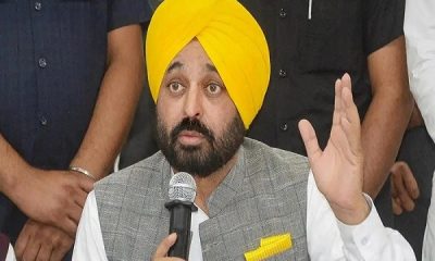 Punjab government appointed 12500 raw teachers, CM Bhagwant Mann handed over appointment letters