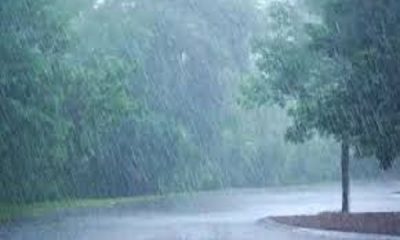 Heavy rain alert in these districts of Punjab, storm in Ferozepur