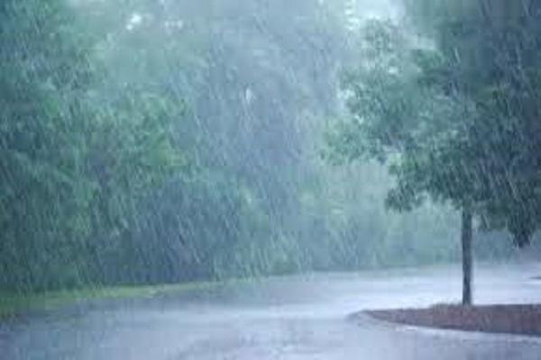 Heavy rain alert in these districts of Punjab, storm in Ferozepur