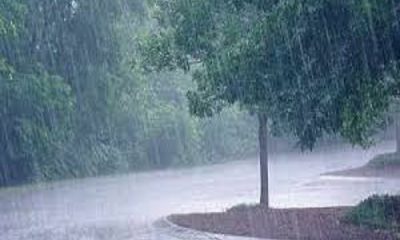 Heavy rain alert for the next 5 days in Punjab, the weather department has issued a warning