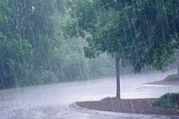 Heavy rain alert for the next 5 days in Punjab, the weather department has issued a warning