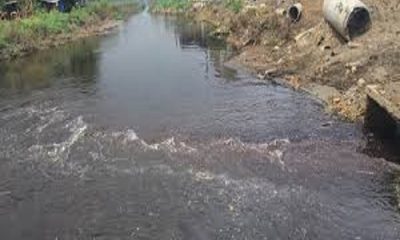 With black and chemical water, the Budha river has again turned into a Budha drain