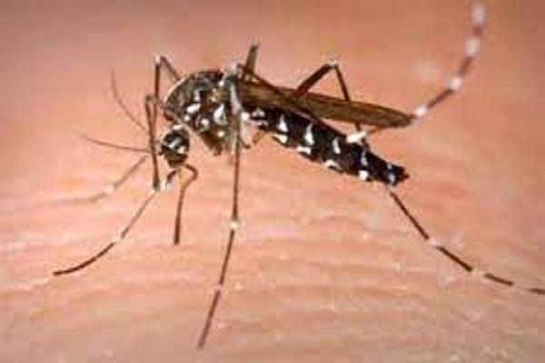 Dengue threat due to rain in Ludhiana district: Health department on alert