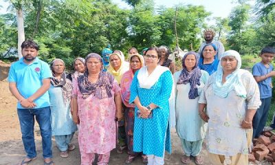 Safety assessment of all Budha/Sutlej river bridges in the district