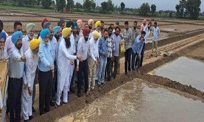 The Agriculture Minister has started the planting of paddy for the flood affected farmers