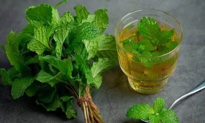 From improving digestion to weight loss, know the countless benefits of mint leaves