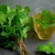 From improving digestion to weight loss, know the countless benefits of mint leaves