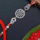 Now the post office itself will purchase the rakhi and deliver it to your brother, know the complete method...