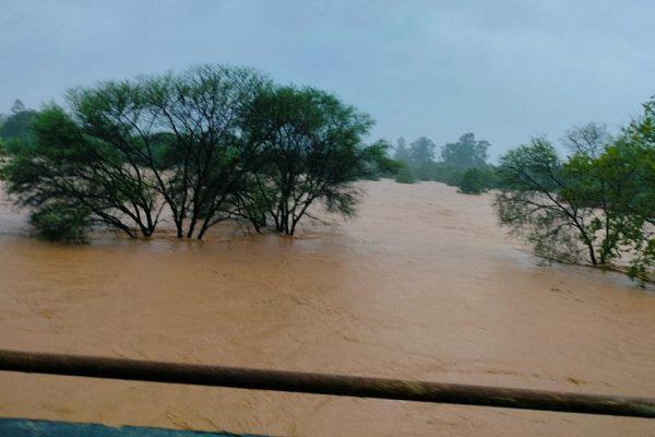 Flood-like situation in Ropar, high alert issued, train services cancelled
