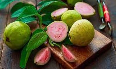 Guava beats even expensive apples! 5 big advantages that will surprise you