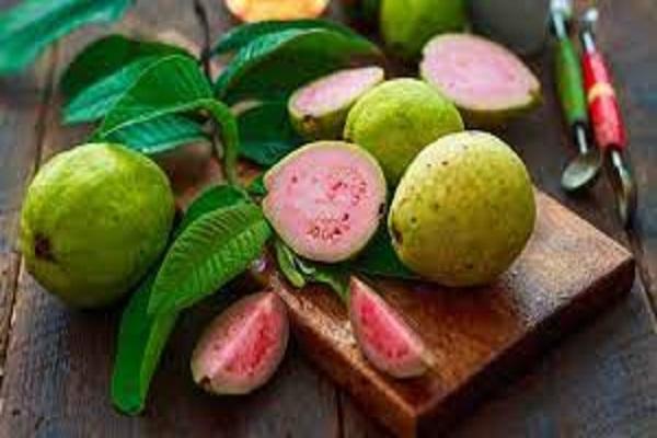 Guava beats even expensive apples! 5 big advantages that will surprise you