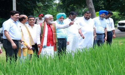 Union Minister Ashwani Kumar Chaubey praised the agricultural achievements of PAU