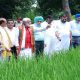 Union Minister Ashwani Kumar Chaubey praised the agricultural achievements of PAU