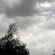 As of now there is no chance of heavy rain in the state, according to the Meteorological Department, the monsoon has started to weaken