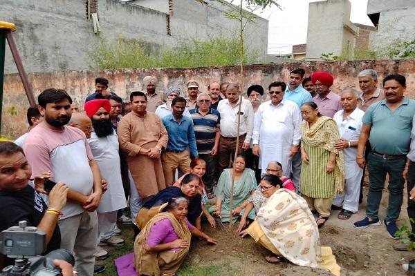 MLA Bagga started plantation campaign in Ward No. 94