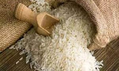 Punjab government bans 10 pesticides, basmati cannot be sprayed