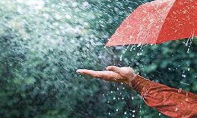 There may be heavy rain in Punjab on this day, know the latest weather situation