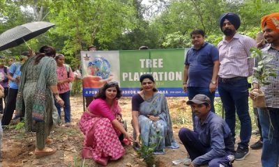 Plantation campaign under "Meri Mati Mera Desh" campaign at SCD College