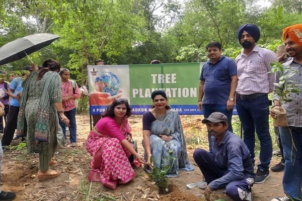 Plantation campaign under "Meri Mati Mera Desh" campaign at SCD College