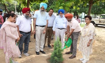 PAU Tree planting campaign started from Botanical Garden