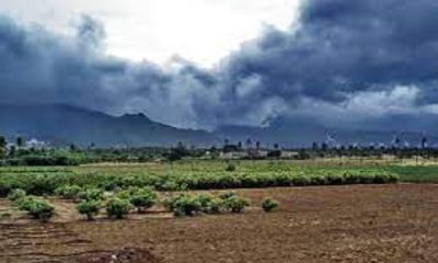 The mood of the weather has changed again in Punjab! It will rain in many districts for the next 3 days