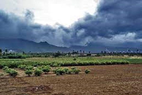 The mood of the weather has changed again in Punjab! It will rain in many districts for the next 3 days