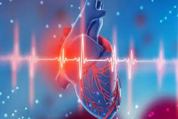 Big revelation about heart attack! Heart attacks due to lack of this vitamin