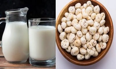 Energy Booster is Makhana and milk, know the surprising benefits of eating it together