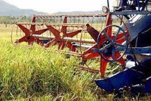 Ban on paddy harvesting in Ludhiana from 7 pm to 10 am, DC issued order